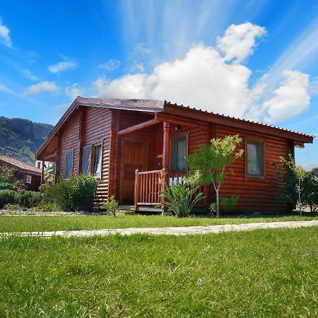 Hayitbuku Ahsapevleri Hostal Mesudiye  Habitación foto