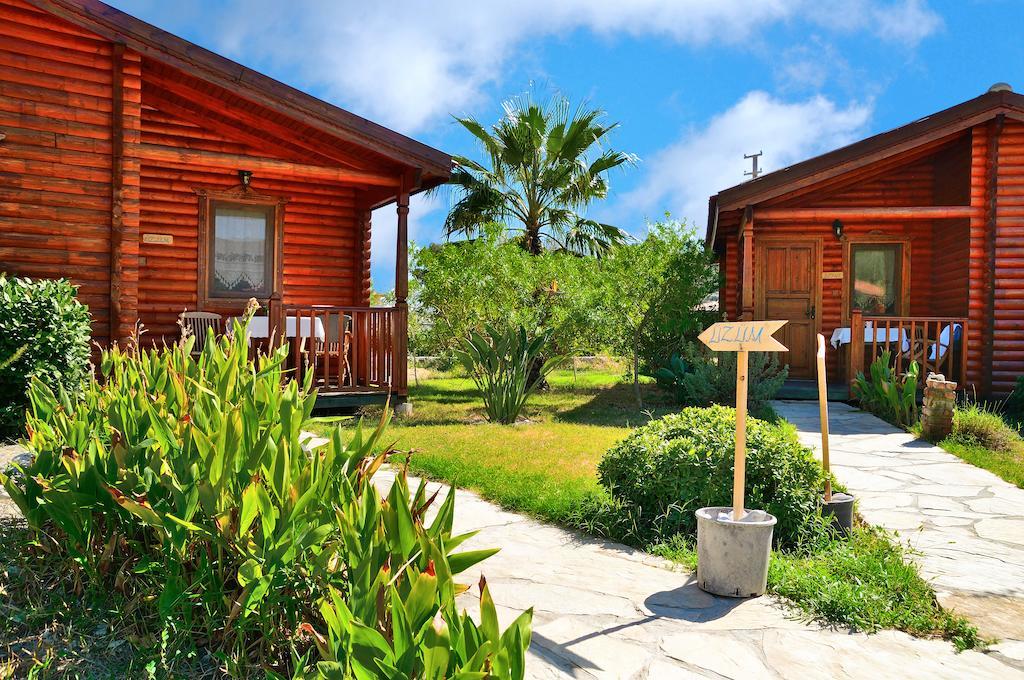 Hayitbuku Ahsapevleri Hostal Mesudiye  Exterior foto