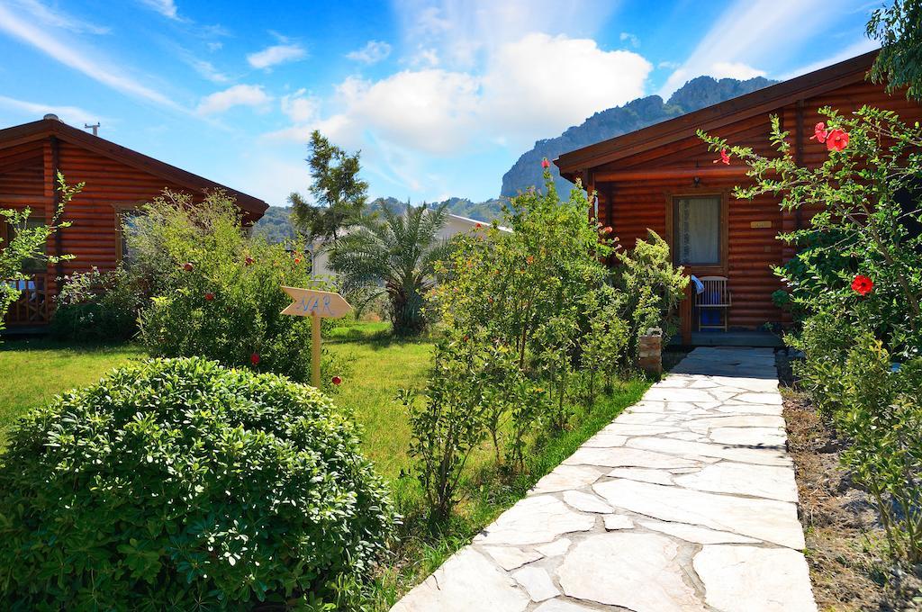 Hayitbuku Ahsapevleri Hostal Mesudiye  Exterior foto