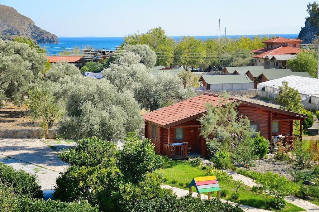 Hayitbuku Ahsapevleri Hostal Mesudiye  Exterior foto