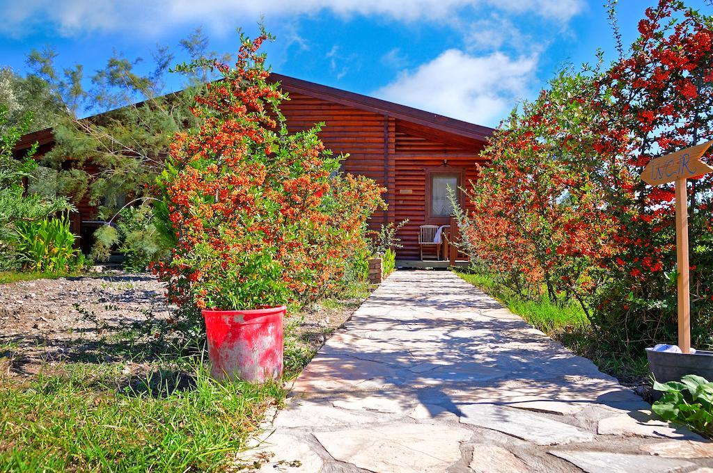 Hayitbuku Ahsapevleri Hostal Mesudiye  Exterior foto