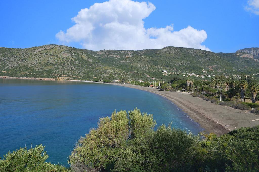 Hayitbuku Ahsapevleri Hostal Mesudiye  Exterior foto