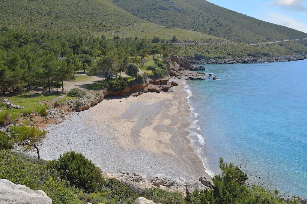 Hayitbuku Ahsapevleri Hostal Mesudiye  Exterior foto