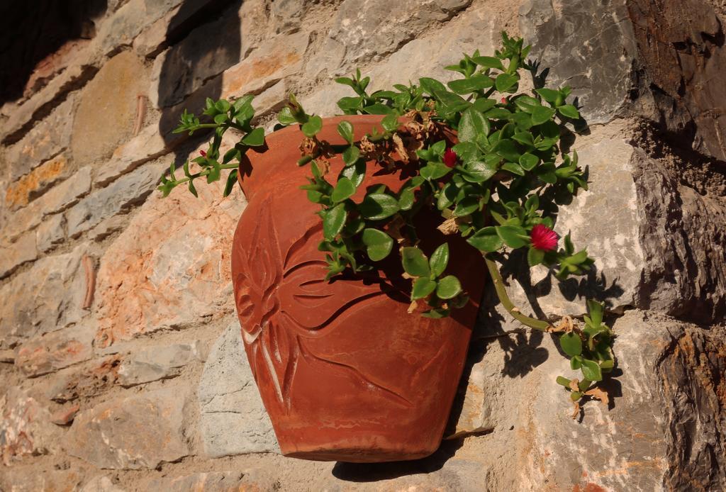 Hayitbuku Ahsapevleri Hostal Mesudiye  Exterior foto