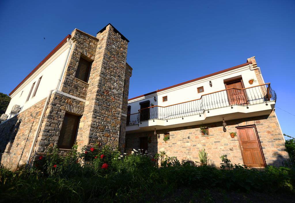 Hayitbuku Ahsapevleri Hostal Mesudiye  Exterior foto