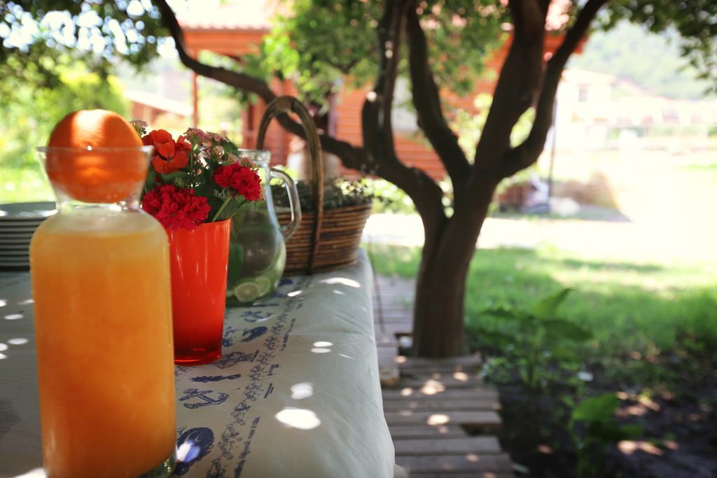 Hayitbuku Ahsapevleri Hostal Mesudiye  Exterior foto