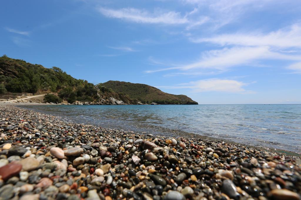 Hayitbuku Ahsapevleri Hostal Mesudiye  Exterior foto