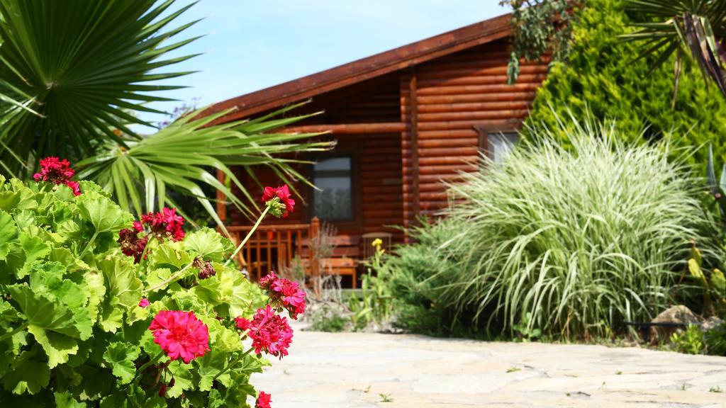 Hayitbuku Ahsapevleri Hostal Mesudiye  Exterior foto